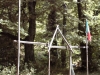 IMAGE0005
