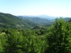 IMG_0192