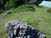 IMG_0207