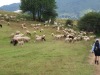 IMG_0804