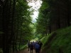 IMG_0807