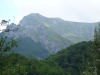 IMG_0820