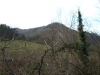 IMG_0005