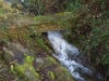 IMG_0009
