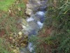 IMG_0010
