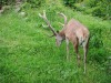 DSC00002