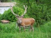 DSC00004