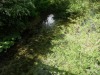 DSC00044