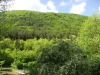 DSC00045