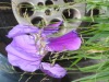 DSC00448