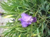 DSC00449