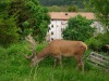 DSC00456