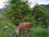 DSC00458