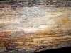 P1010065