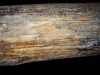 P1010066