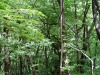 P1010156