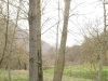 IMG_0164