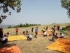 IMG-20170805-WA0008