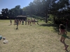 IMG_20180728_094238