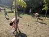 IMG_20180728_094252