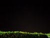 Campo_Meschia_2019_EG_-196