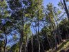 Campo_Meschia_2019_EG_-286