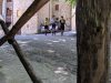 Campo_Meschia_2019_EG_-304