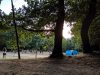 Campo_Meschia_2019_EG_-328