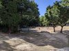 Campo_Meschia_2019_EG_-664