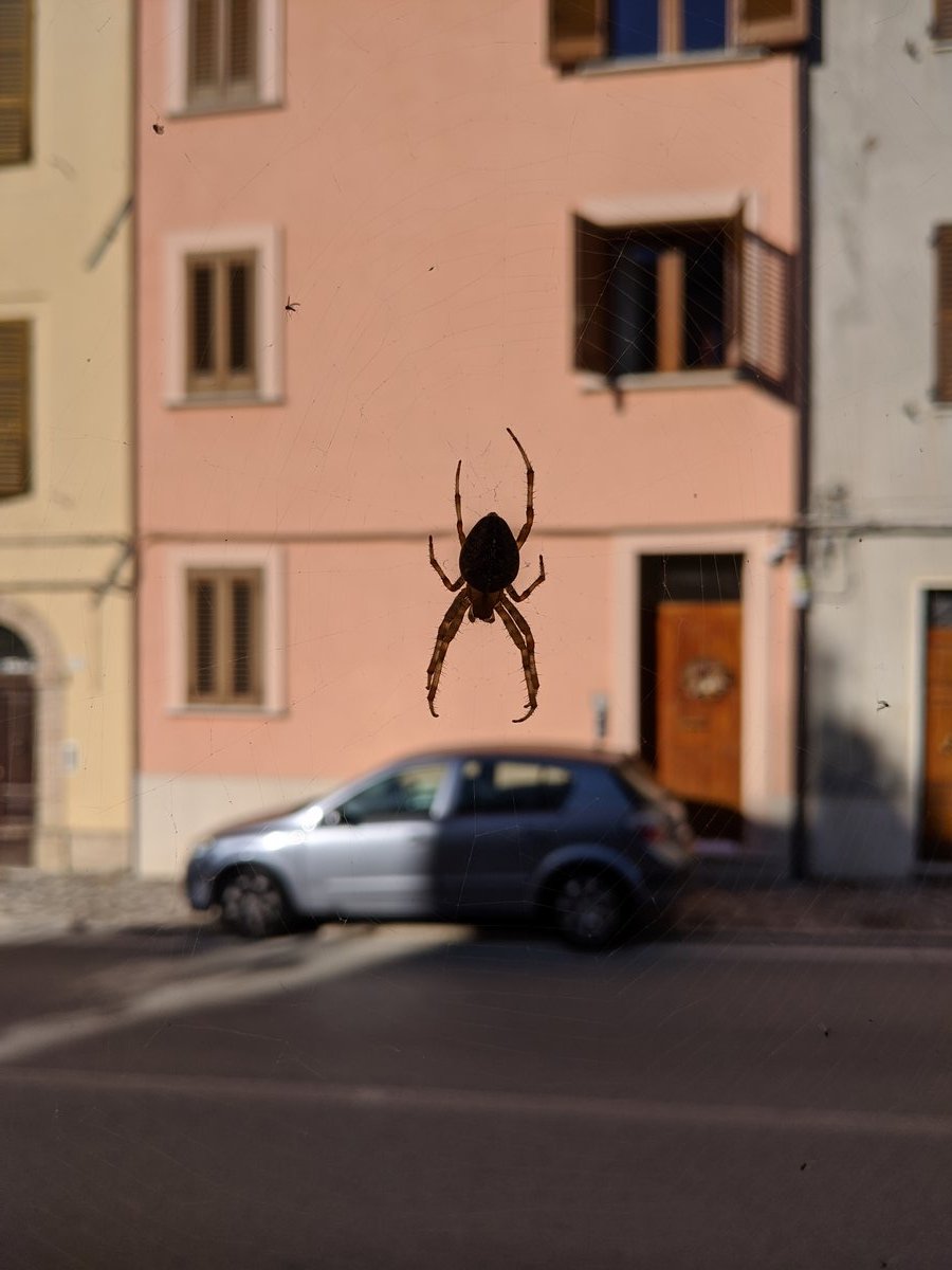Campo_Invernale_EG_Offida_27-29_Dicembre_2019_-24