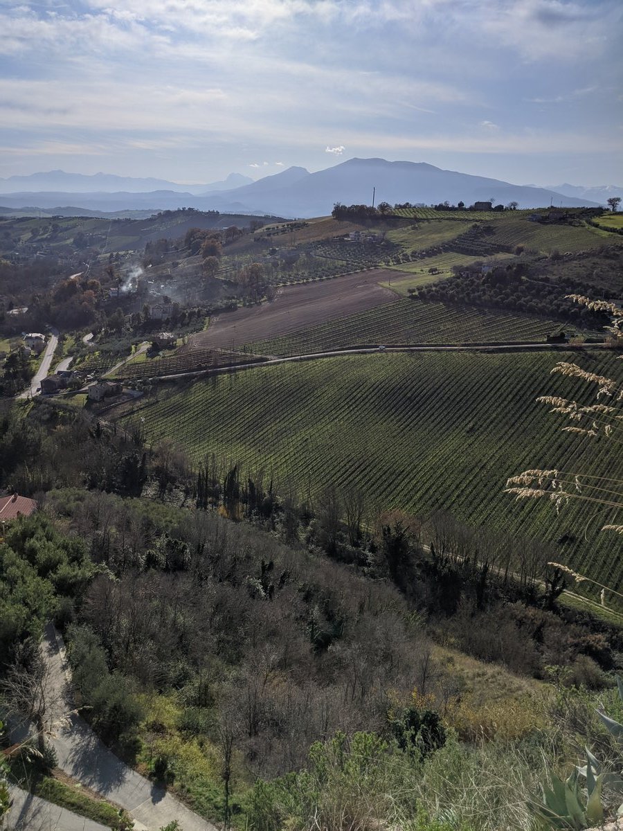 Campo_Invernale_EG_Offida_27-29_Dicembre_2019_-41