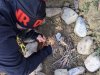 Campo_Invernale_EG_Offida_27-29_Dicembre_2019_-179