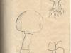 Diario_03_Gravity_Falls_Meschia_2019_-73