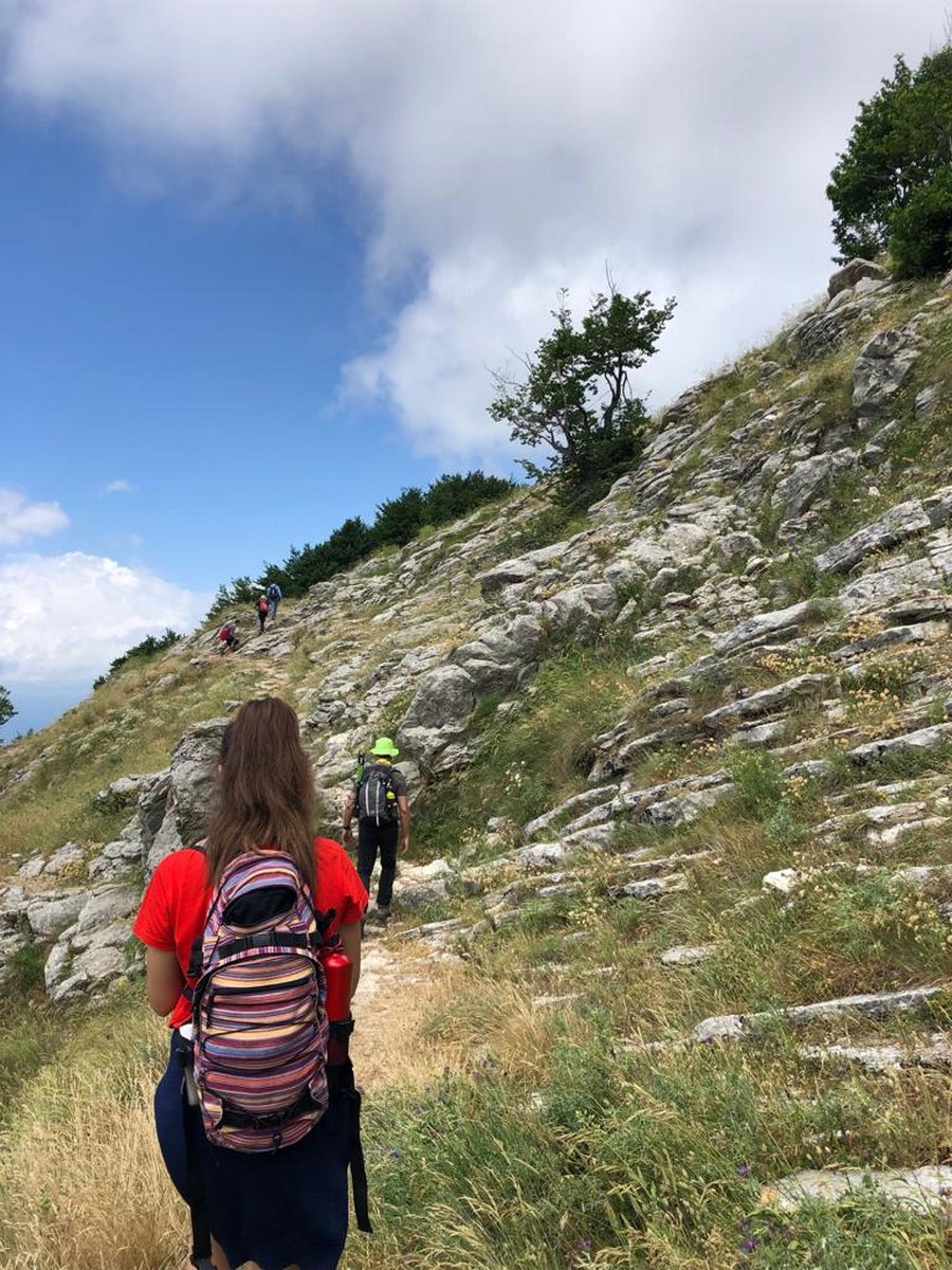 IMG-20190623-WA0012