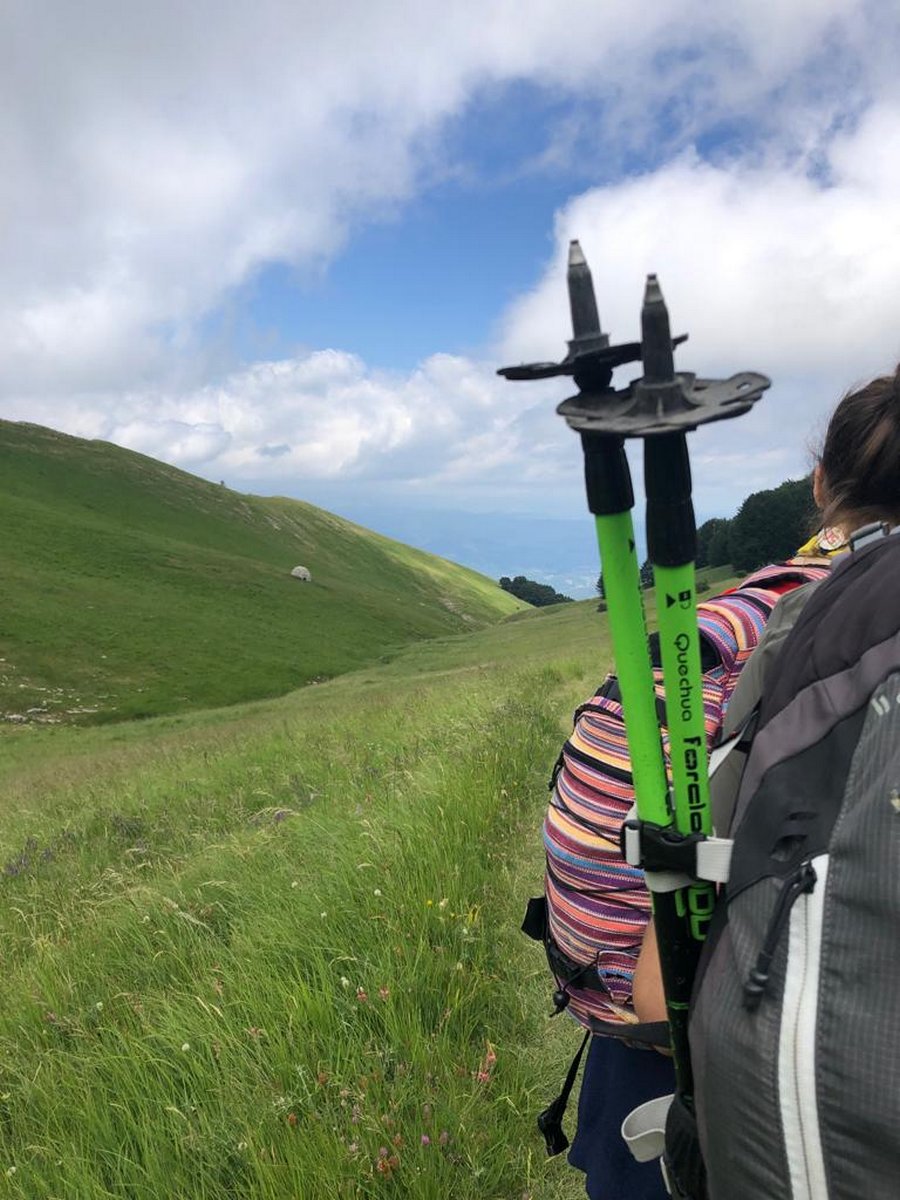 IMG-20190623-WA0015