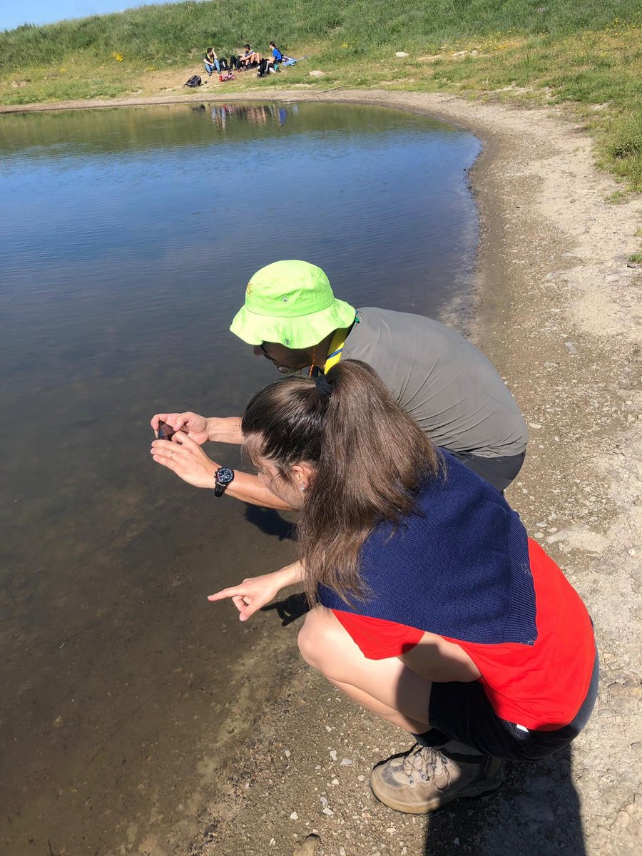 IMG-20190623-WA0047