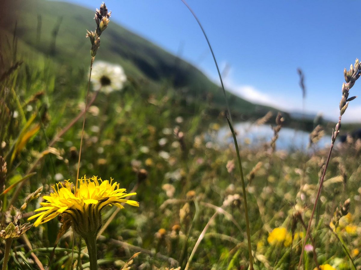 IMG-20190623-WA0055