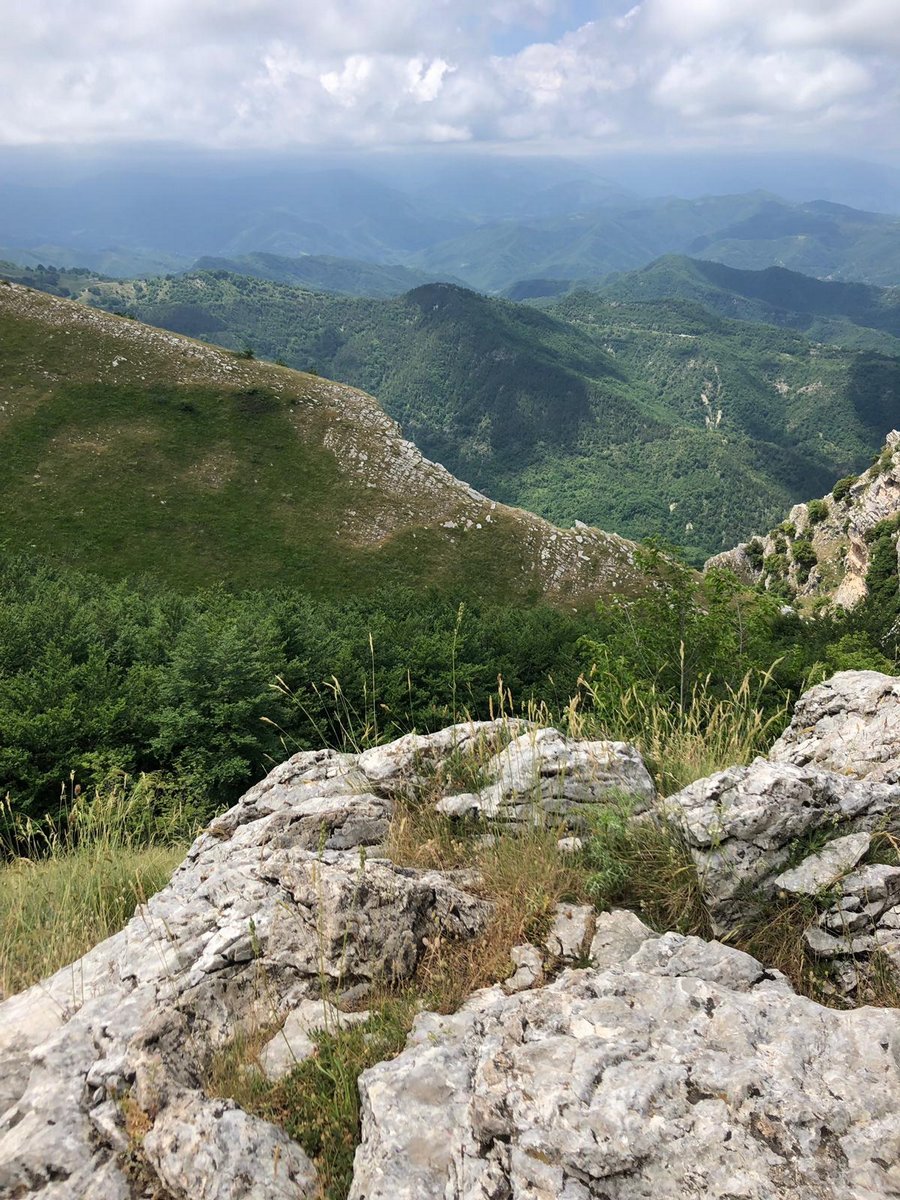 IMG-20190623-WA0066