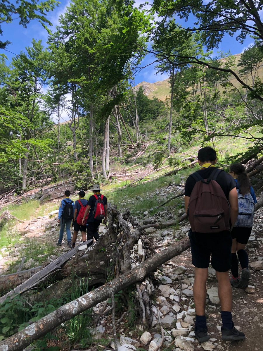 IMG-20190623-WA0071
