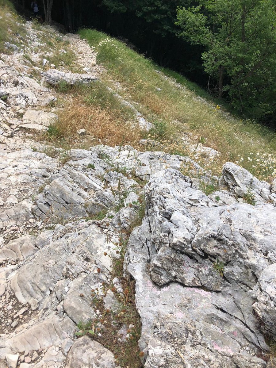 IMG-20190623-WA0072