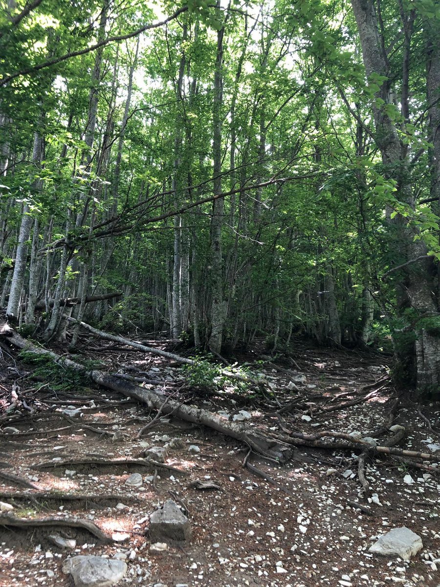 IMG-20190623-WA0074
