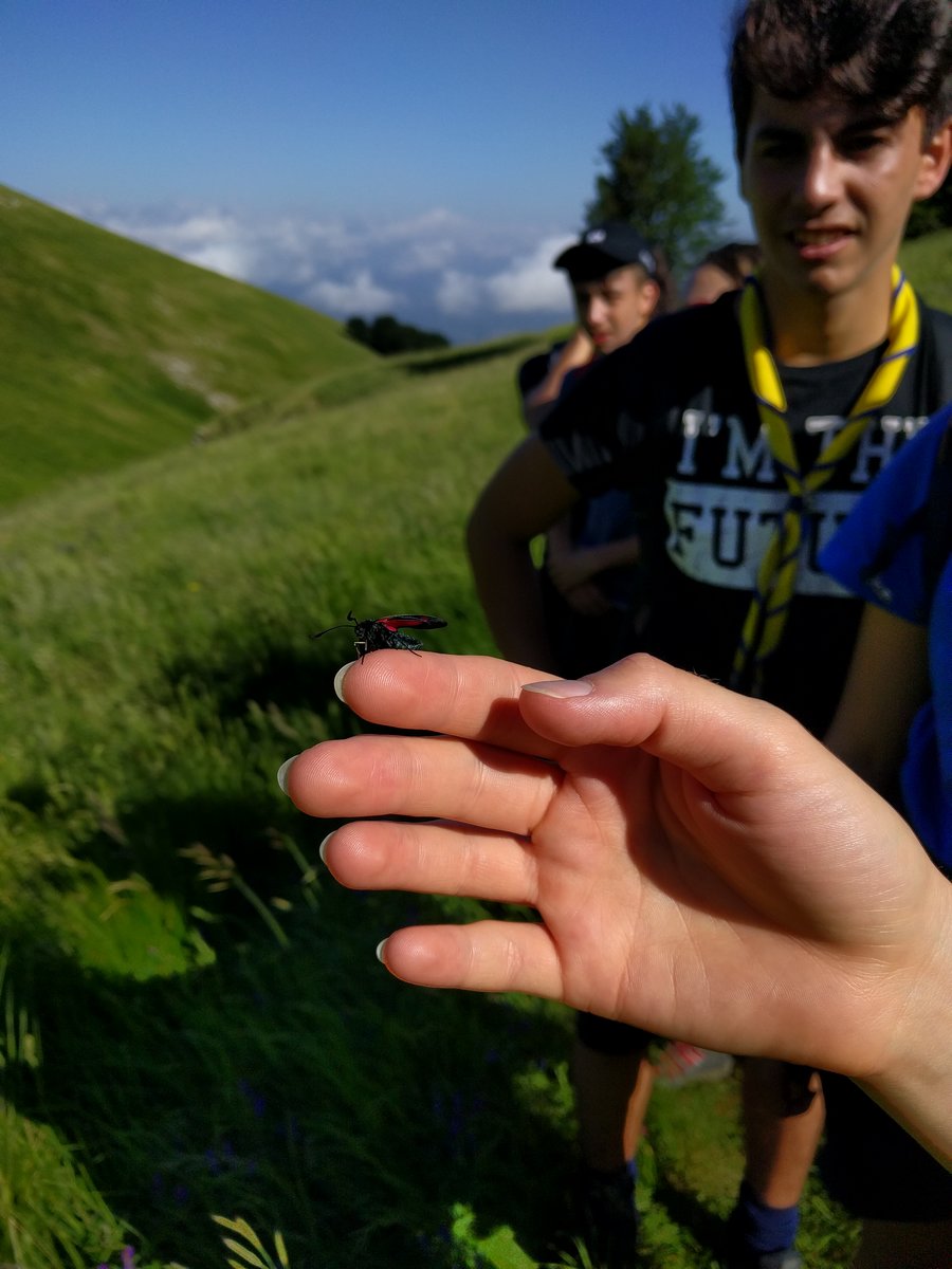 IMG_20190623_090647