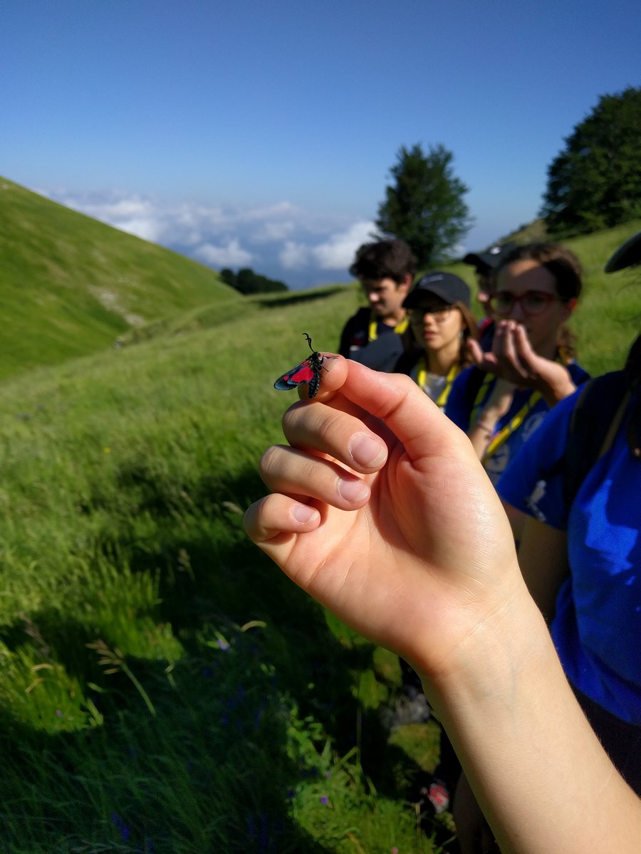 IMG_20190623_090656