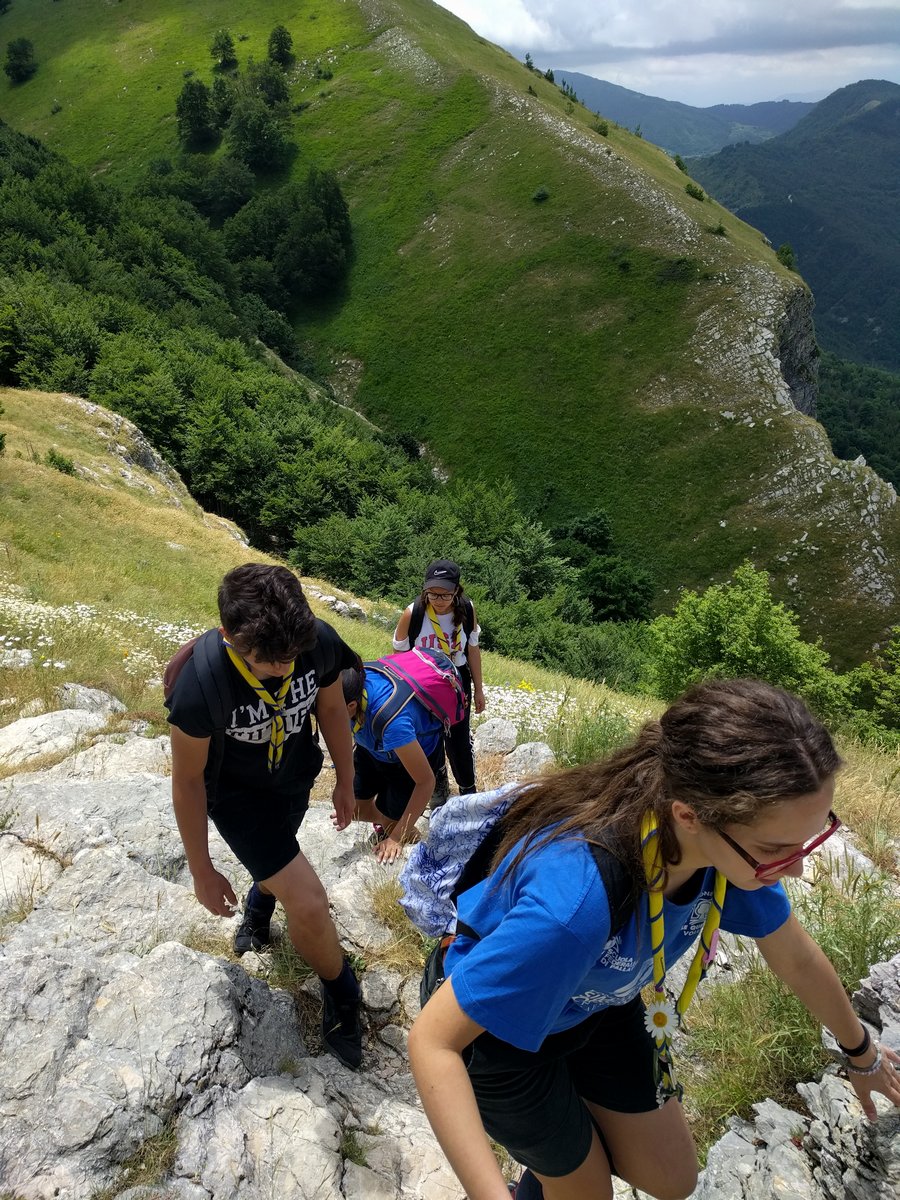 IMG_20190623_123537