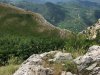 IMG-20190623-WA0066