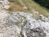 IMG-20190623-WA0072