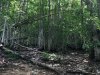IMG-20190623-WA0074