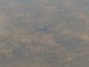 IMG_20190623_095545