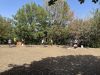 IMG_8202