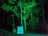 PXL_20220730_200021489.NIGHT_